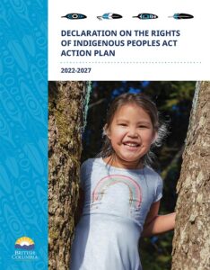 Declaration Indigenous Peoples Act Action Plan