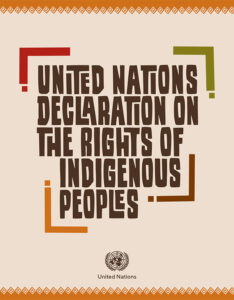 UN Declaration Indigenous Peoples Rights